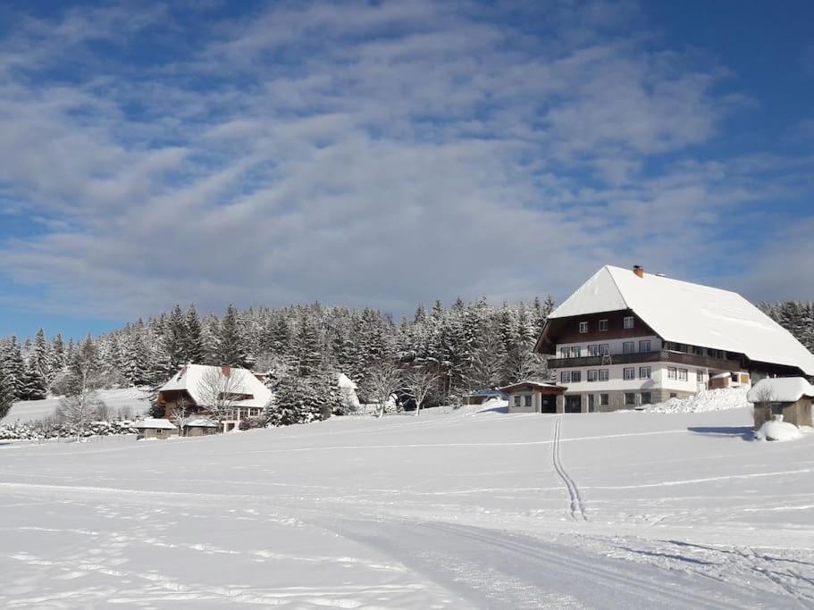 Haus Lucia, Mit Pool Und Sauna, Appartment 4 Schönwalde Εξωτερικό φωτογραφία